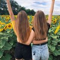 sister-inces