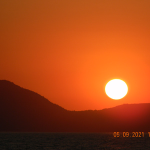 holiday