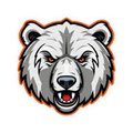 OldAngryBear