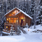 House in forest
