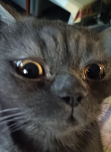 Osnovnoy999 My Photos photo 8210456