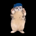baunty-