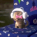 baunty-