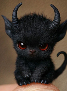 ----Ghost---- My Photos photo 13060478