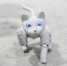 mr-robocat