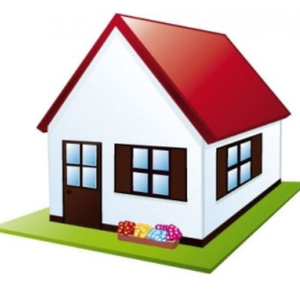 Mi house