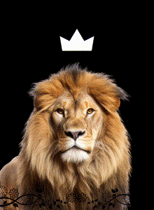 _Nesqik_ My Photos photo 10403384