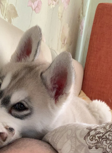 Willywonka88 My Photos photo 8193441