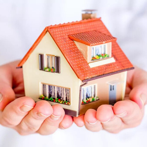 What do I dream about, you ask? To buy my own house! house