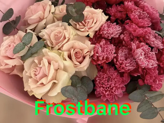 Flowers from you)
