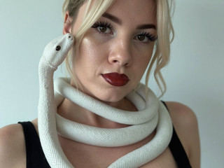Photos