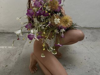 Iris-289