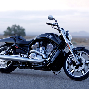 Harley Davidson