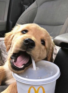 prostofun My Photos photo 11625885