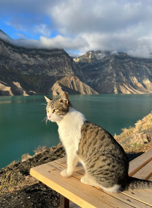 MechtaZlogoPrezervativa htrmoyr photo 13769624