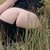 bunny-67