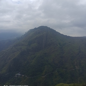Travel to India