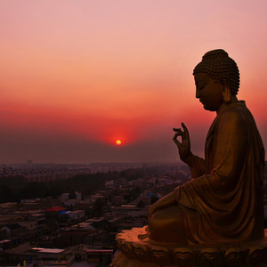 Trip to India