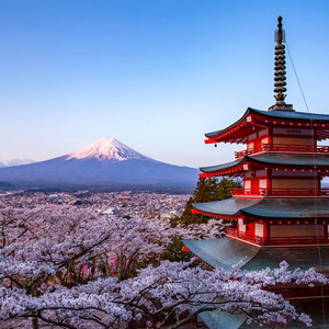 ✨ Japan trip ✨