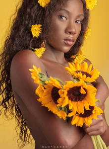 DannaPrincess Sunflowers photo 8886027