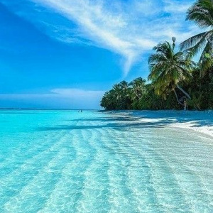 Trip to the sea