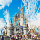 Travel to Disney World