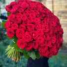 Beautiful roses ♥