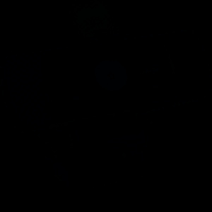 veb camera
