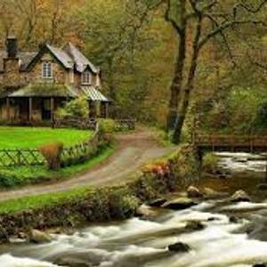 I dream of buying a house in a forest or on lakesе