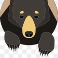 bearhug