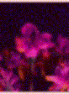 Mini_Meow My Photos photo 8729613