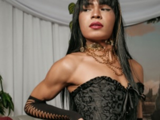 ✨Olympus Protector✨