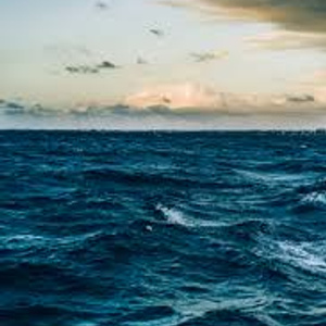 Sea