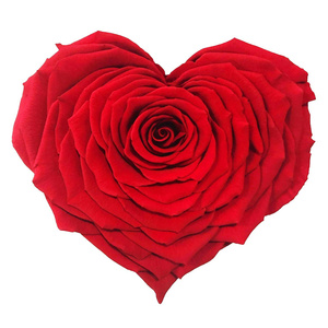 HEART OF ROSES