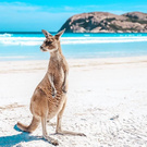 Know the beaches of Australia.