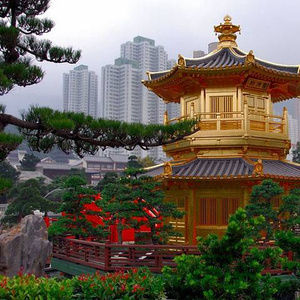 trip to China