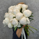 Bouquet of peonies