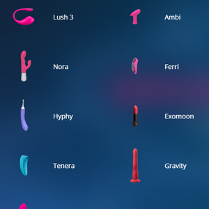 Erotic toys
