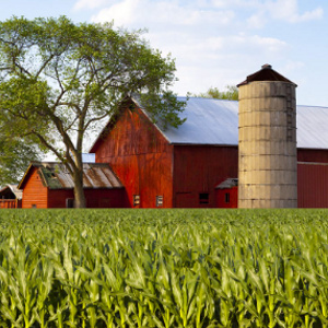 A FARM TO COLLECT HELPFUL ANIMALS♥