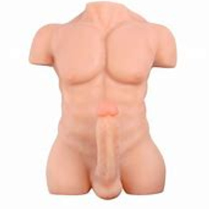 Torso
