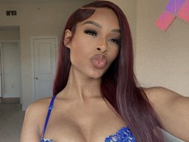ZiaLive Webcam