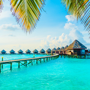 Travel