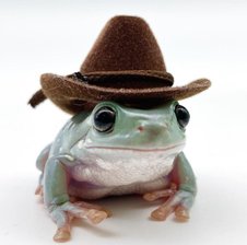 UncleFrog