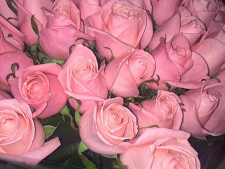 Милости, которые я люблю 