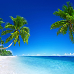 I want to go to warmer climes