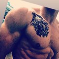 BlackFox50