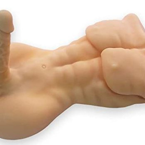 Torso