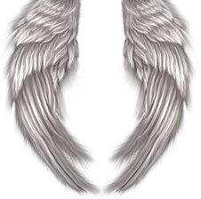 xx-ANGEL-xx