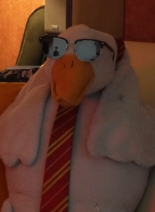 MeltedDreams My Photos photo 10827612