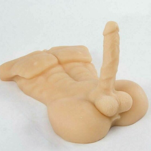 TORSO